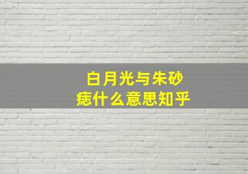 白月光与朱砂痣什么意思知乎