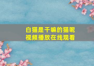 白猫是干嘛的猫呢视频播放在线观看