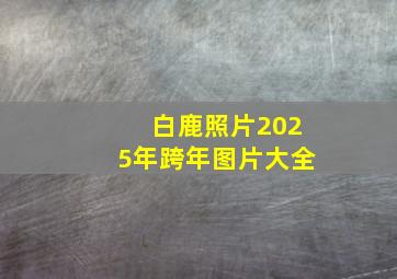 白鹿照片2025年跨年图片大全