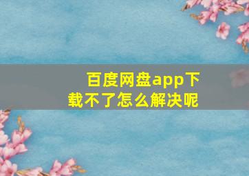 百度网盘app下载不了怎么解决呢