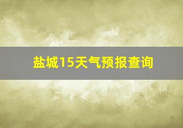 盐城15天气预报查询