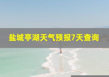 盐城亭湖天气预报7天查询