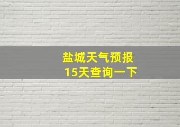 盐城天气预报15天查询一下