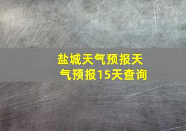 盐城天气预报天气预报15天查询