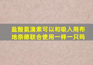 盐酸氨溴索可以和吸入用布地奈德联合使用一样一只吗