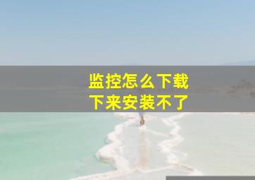 监控怎么下载下来安装不了