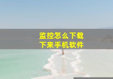 监控怎么下载下来手机软件