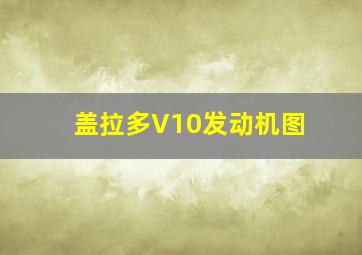 盖拉多V10发动机图