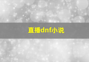 直播dnf小说