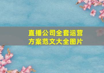 直播公司全套运营方案范文大全图片