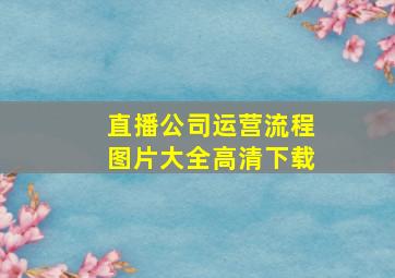 直播公司运营流程图片大全高清下载