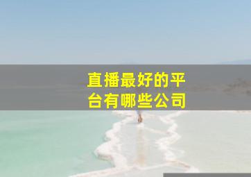 直播最好的平台有哪些公司