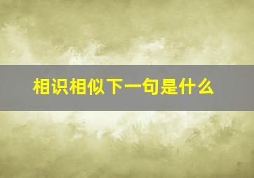 相识相似下一句是什么