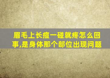 眉毛上长痘一碰就疼怎么回事,是身体那个部位出现问题