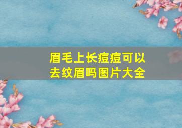 眉毛上长痘痘可以去纹眉吗图片大全