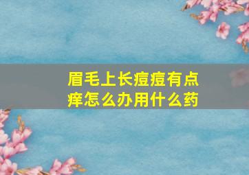 眉毛上长痘痘有点痒怎么办用什么药