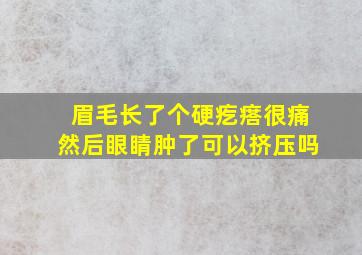 眉毛长了个硬疙瘩很痛然后眼睛肿了可以挤压吗