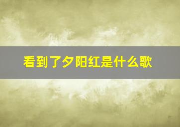 看到了夕阳红是什么歌