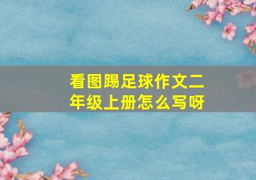 看图踢足球作文二年级上册怎么写呀