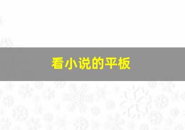 看小说的平板