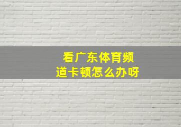 看广东体育频道卡顿怎么办呀