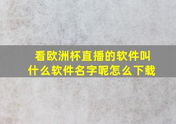 看欧洲杯直播的软件叫什么软件名字呢怎么下载