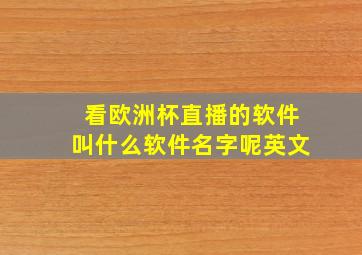 看欧洲杯直播的软件叫什么软件名字呢英文