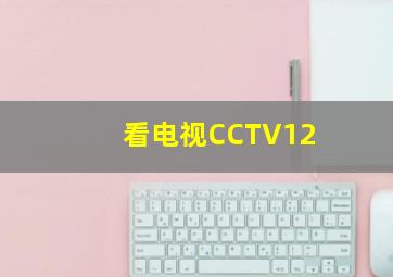 看电视CCTV12