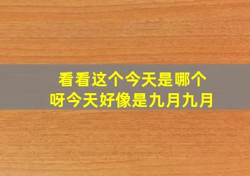 看看这个今天是哪个呀今天好像是九月九月