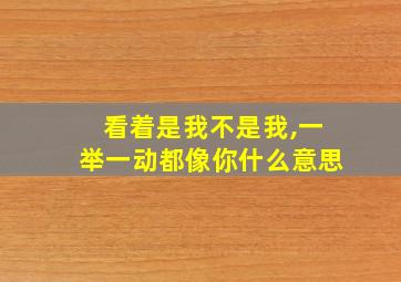 看着是我不是我,一举一动都像你什么意思