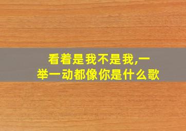 看着是我不是我,一举一动都像你是什么歌