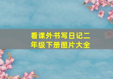 看课外书写日记二年级下册图片大全