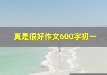 真是很好作文600字初一