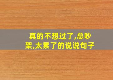 真的不想过了,总吵架,太累了的说说句子