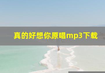 真的好想你原唱mp3下载