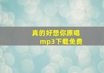 真的好想你原唱mp3下载免费