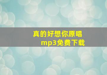 真的好想你原唱mp3免费下载