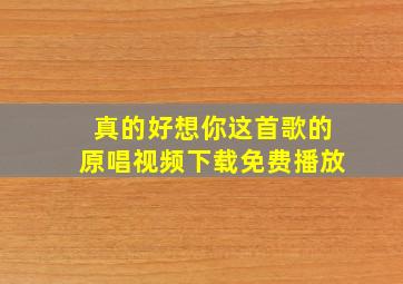 真的好想你这首歌的原唱视频下载免费播放