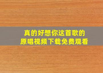 真的好想你这首歌的原唱视频下载免费观看