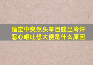 睡觉中突然头晕目眩出冷汗恶心呕吐想大便是什么原因