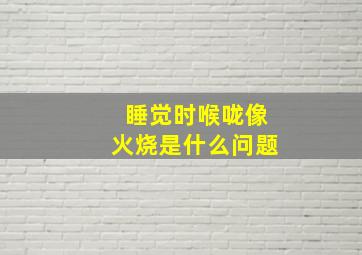 睡觉时喉咙像火烧是什么问题