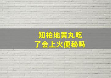 知柏地黄丸吃了会上火便秘吗