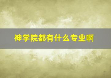 神学院都有什么专业啊