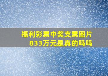 福利彩票中奖支票图片833万元是真的吗吗