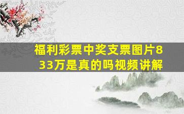 福利彩票中奖支票图片833万是真的吗视频讲解