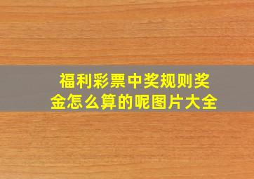 福利彩票中奖规则奖金怎么算的呢图片大全