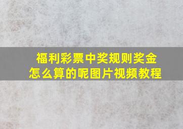 福利彩票中奖规则奖金怎么算的呢图片视频教程