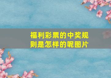 福利彩票的中奖规则是怎样的呢图片