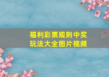 福利彩票规则中奖玩法大全图片视频