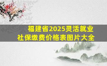 福建省2025灵活就业社保缴费价格表图片大全